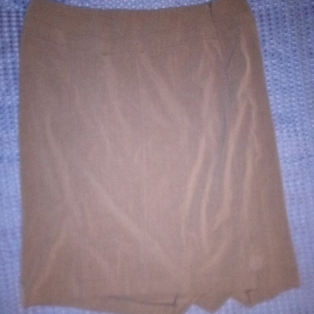Cato side zipper skirt 18W EUC